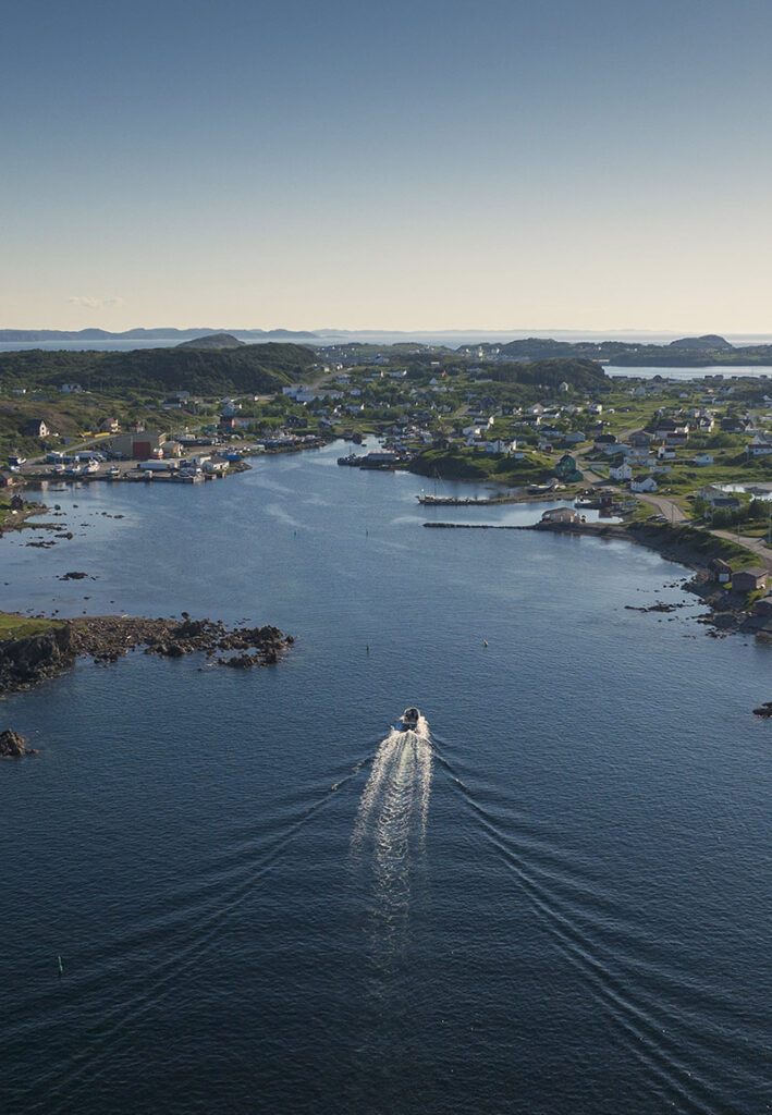 Aerial view of a small boat creating a wake as it travels down a wide, calm river. On both sides, lush green landscapes and a small coastal town with scattered houses hint at the rich bounty of Newfoundland and Labrador seafood. The sky is clear with minimal clouds.